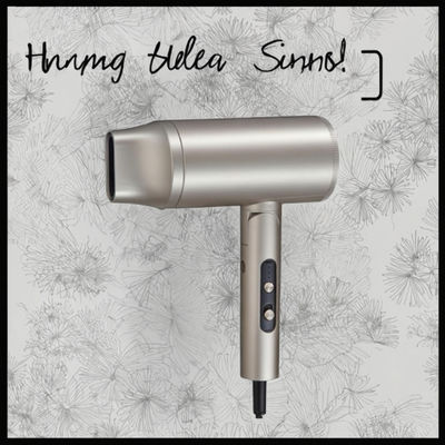 Professioneller 2000W Haartrockner mit 110.000 RPM BLDC-Motor und 500 Millionen Negativ-Ionen für Salon- und Heimgebrauch